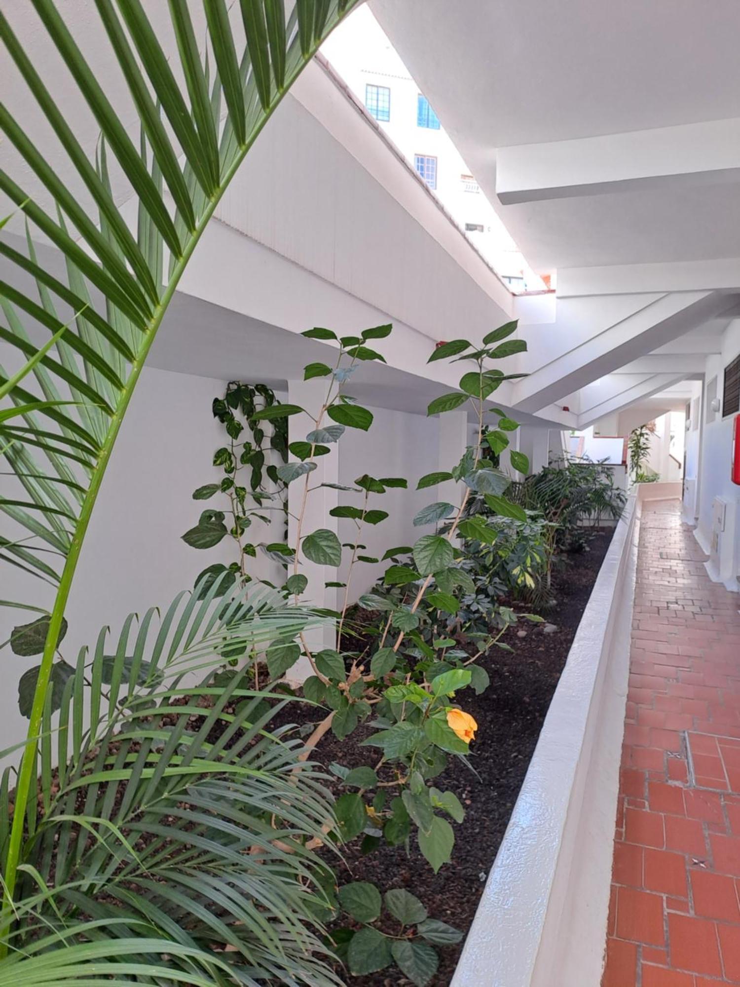 Ancora Home, Los Diamantes, Tenerife Los Cristianos (Tenerife) Exterior foto